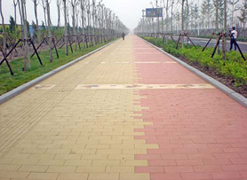 透水砖应用于天津生态圈