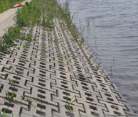 水利水工护坡砖系列